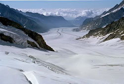 Vaateplatvormilt avaneb vaade 24 km pikkusele Aletschgletscher�ile.