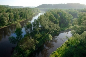 Koiva j&otilde;gi
