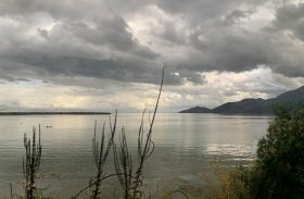 Skadari järv, Montenegro