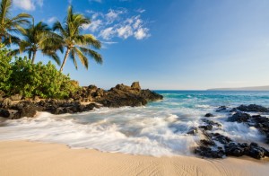 beach tropical maui hawaii