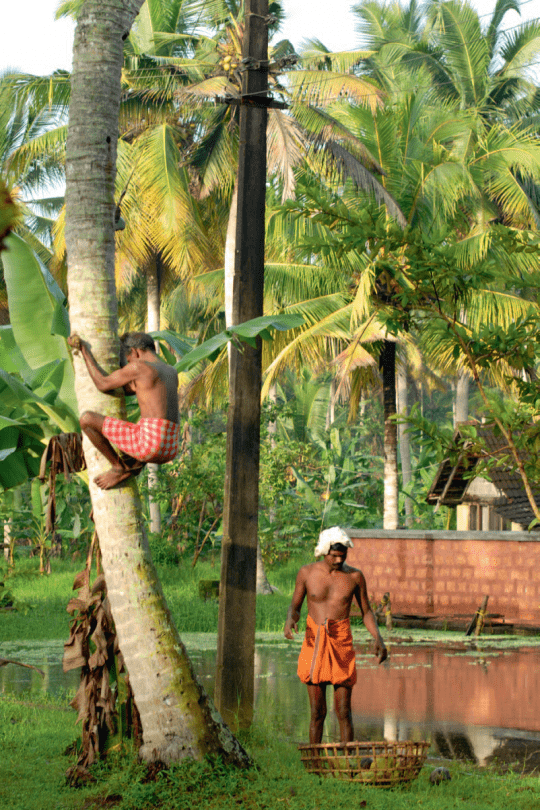 Kerala, Foto: Silvia Pärmann