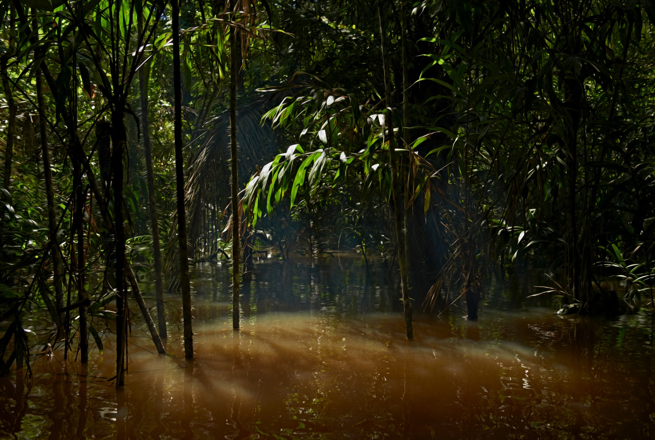 Amazonas Reisid
