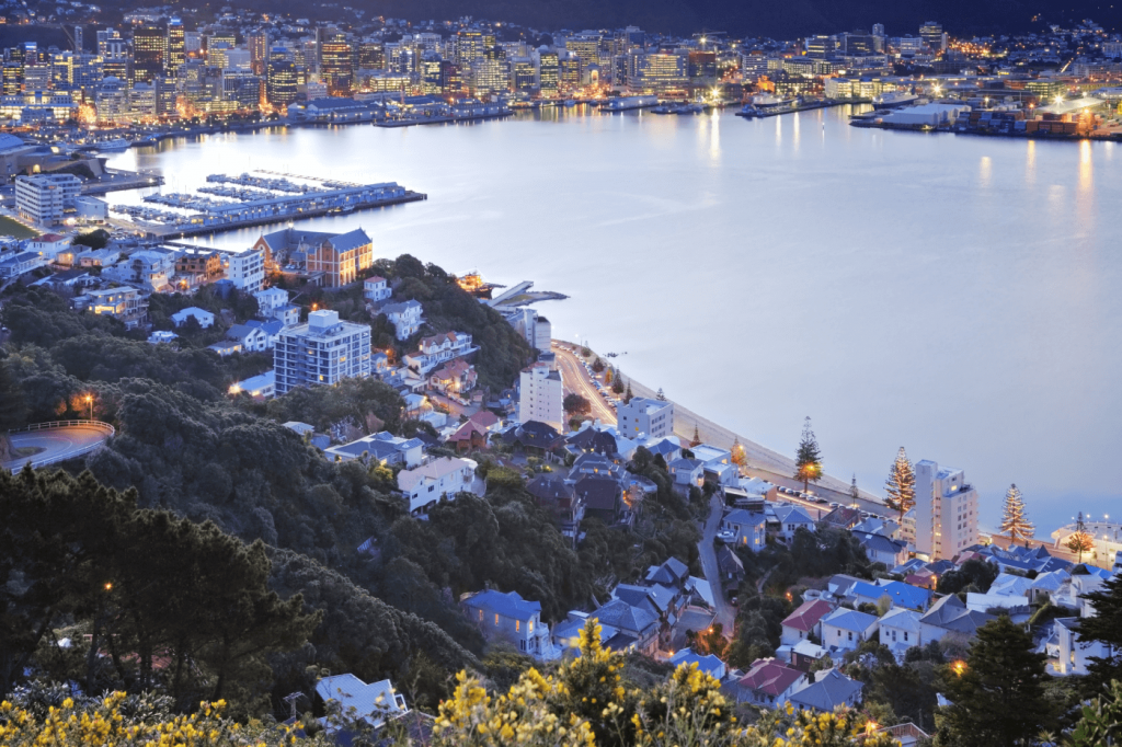 Wellington, Uus-Meremaa