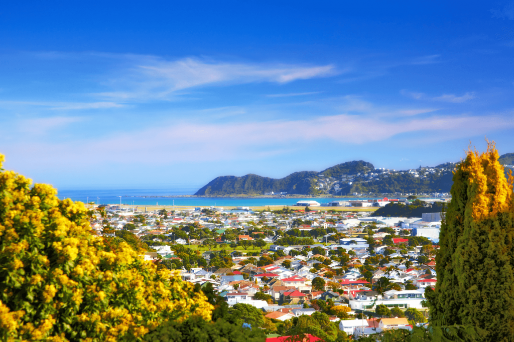 Wellington-Uus-Meremaa