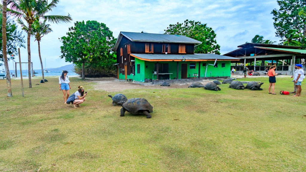Curieuse, Aldabra kilpkondade kaitseala