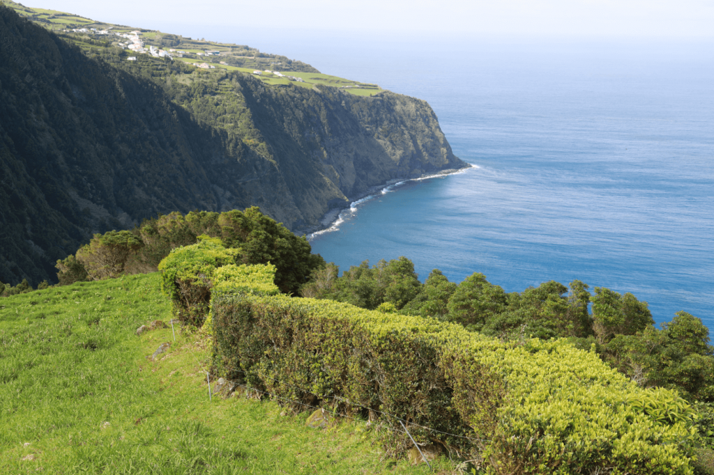 Miradouro-do-ponta-da-Madrugada_Assoorid