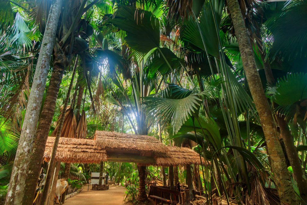 Praslin, Valle de Mai loodusparki sisepääs