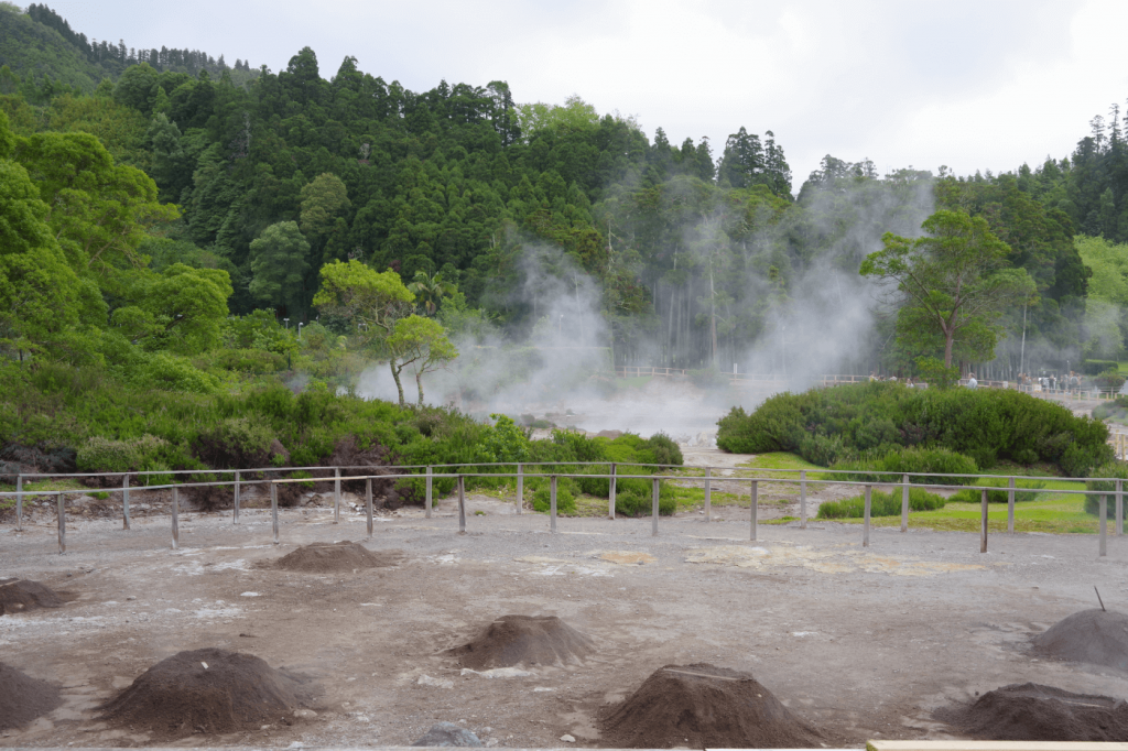 Sao-Miguel_Parque-de-Grena-kuumaveeallikad_Assoorid
