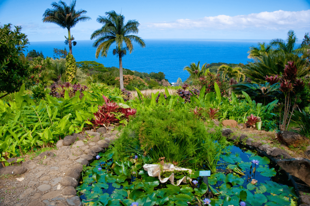 Maui-Hawaii