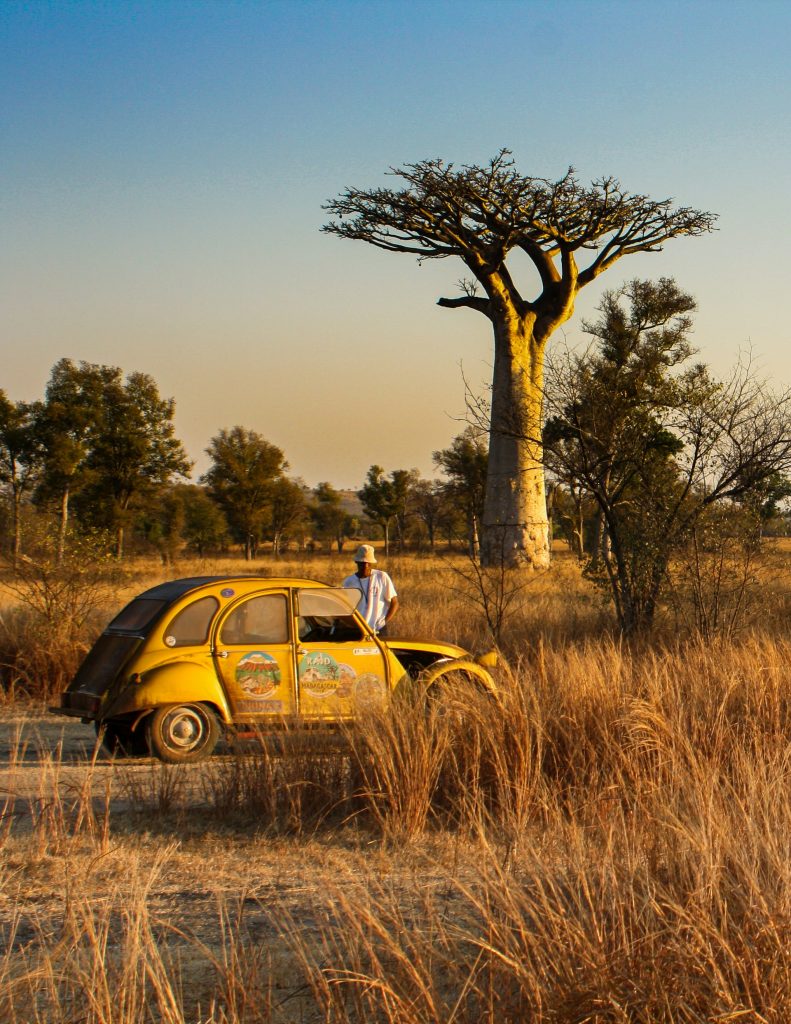 madagaskar