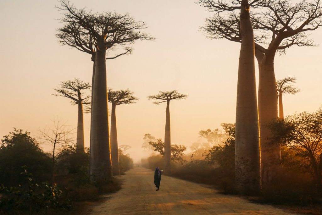 madagaskar