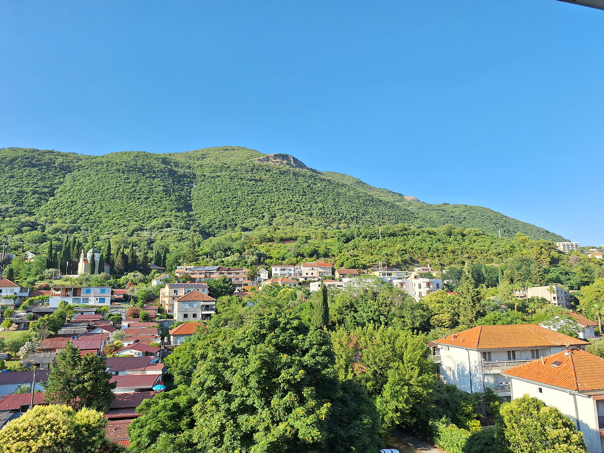 Kliendi tagasiside, Montenegro