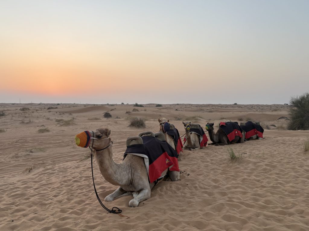 AMEX konverents Dubais