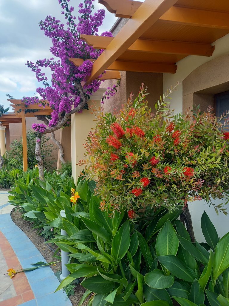 Atrium Palace Thalasso Spa Resort & Villas