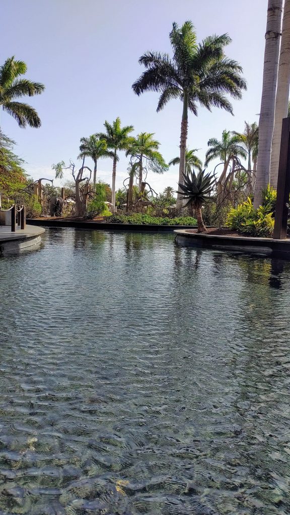 Lopesan Baobab Resort