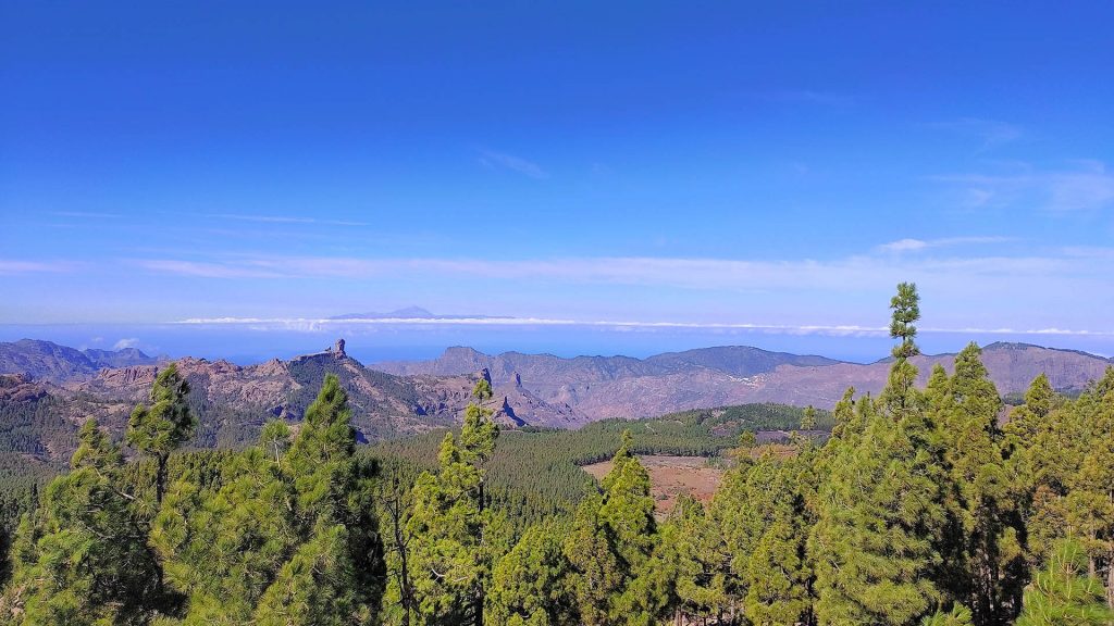 Pico de las Nieves