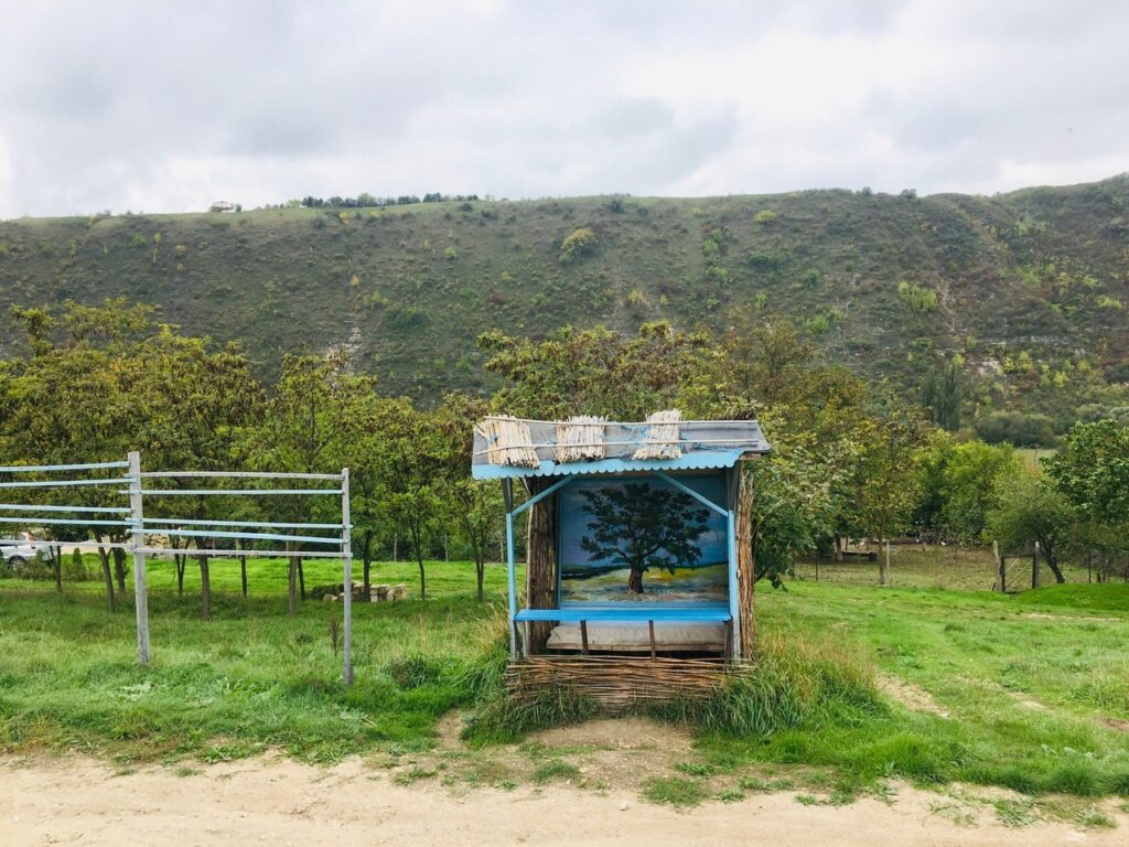 Buticeni küla bussiootepaviljon