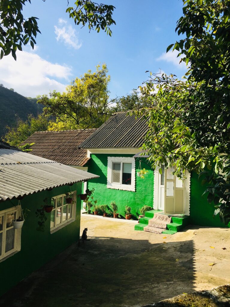 Butuceni küla majapidamine