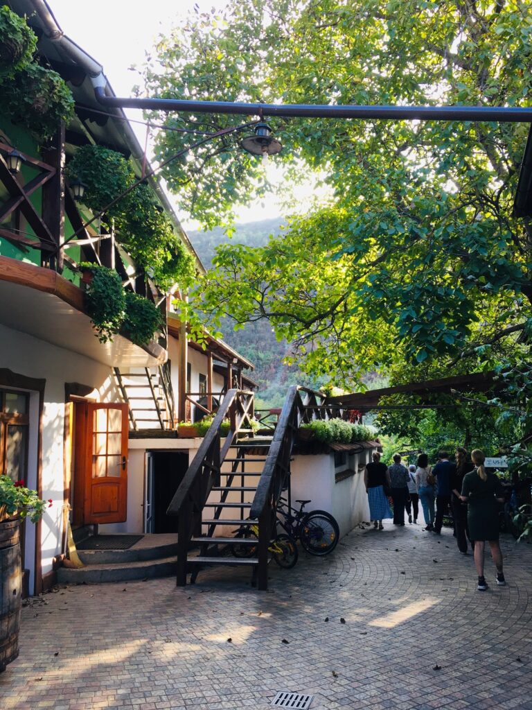 Casa din Lunca külalistemaja hoov - Trebujeni küla