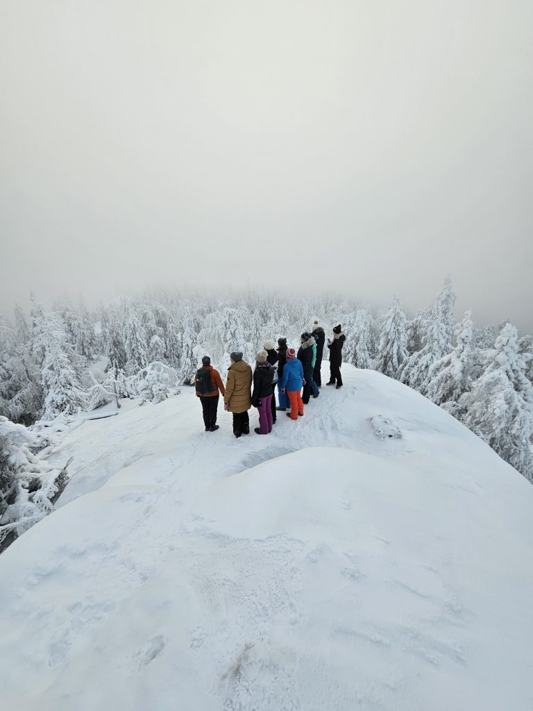 Koli Rahvuspark, Soome