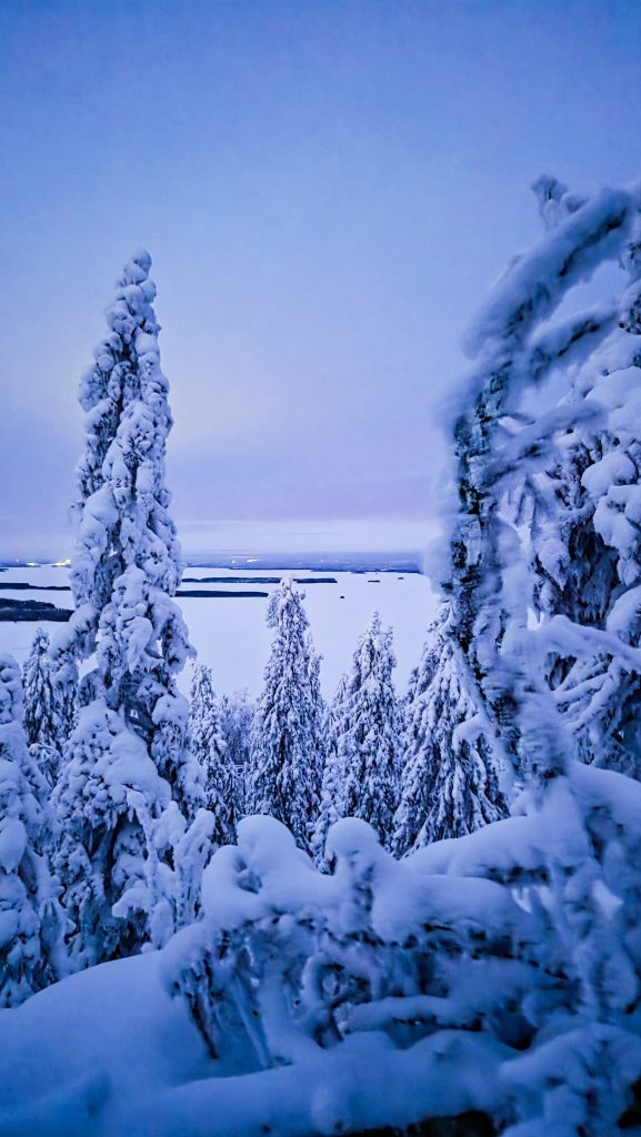 Koli Rahvuspark, Soome