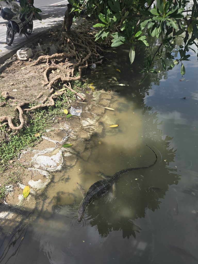 Varaan Lumphini pargis