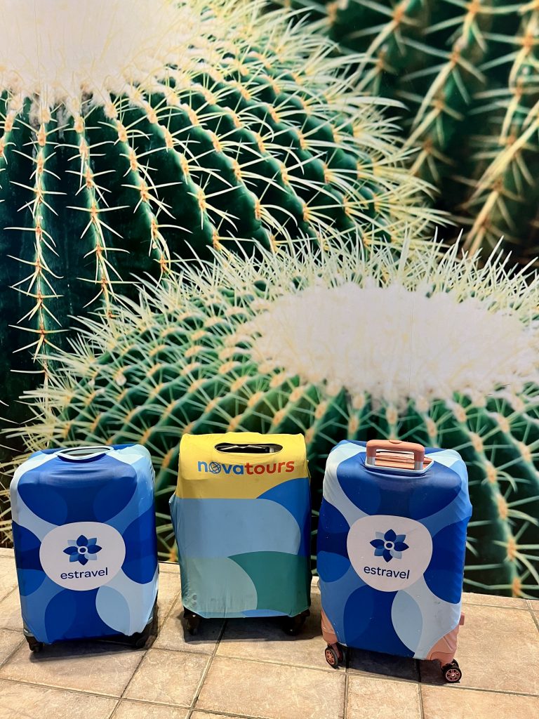 Kaktus Playa-Callelias