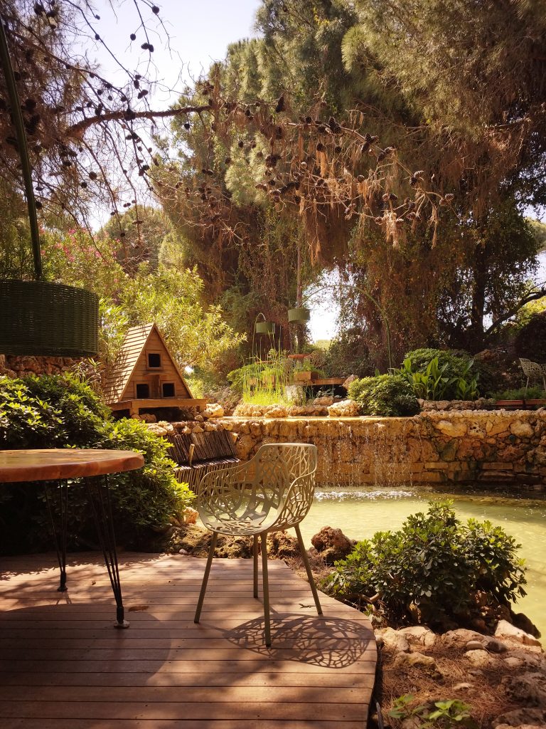 Regnum Carya territoorium