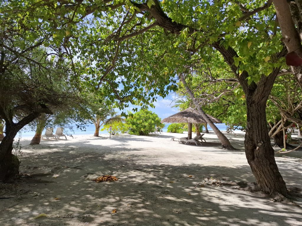 Adaaran Hudhuran Fushi, Maldiivid