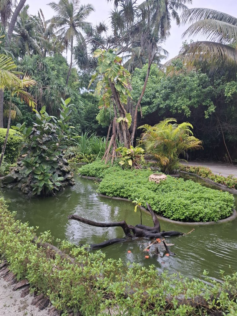 Adaaran Meedhupparu aed