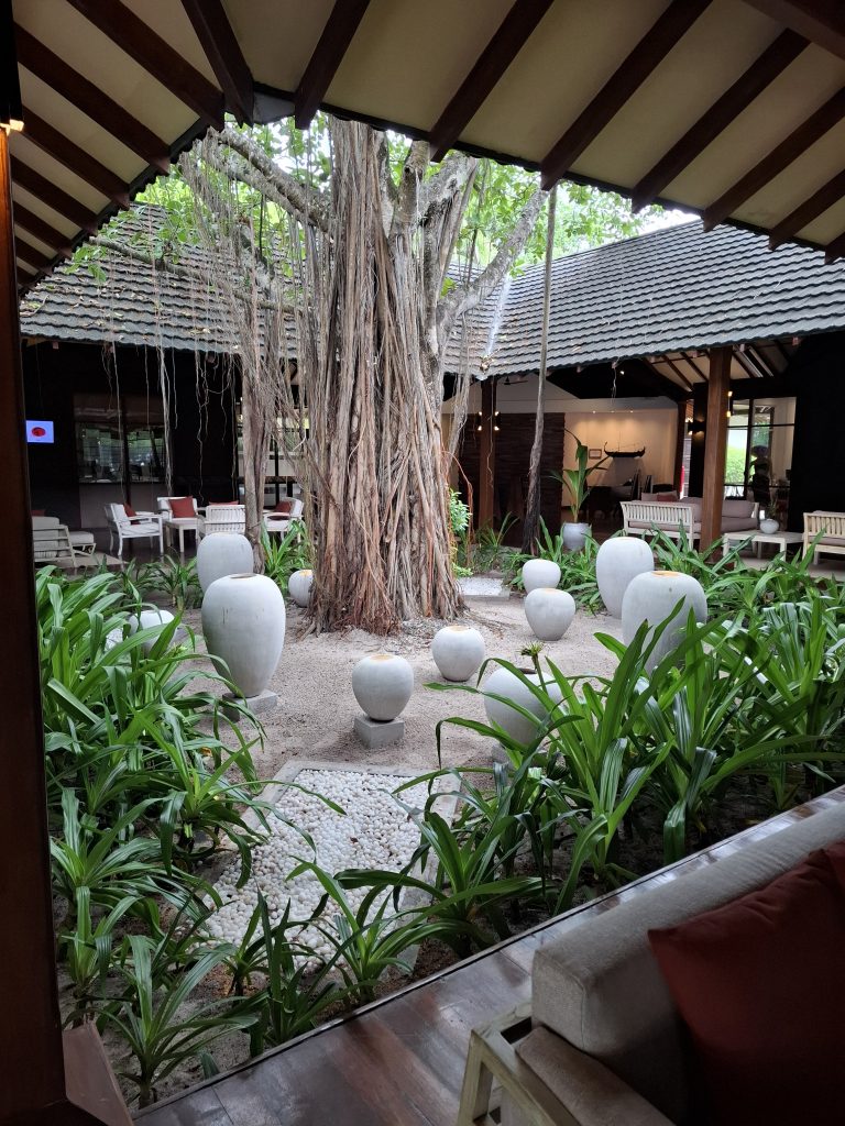 Adaaran Meedhupparu reception