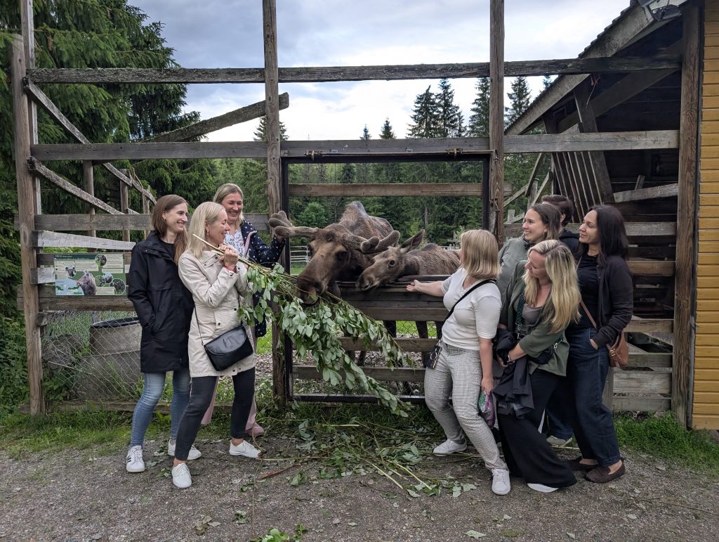 Meie lemmikud asukad Moose Manoris