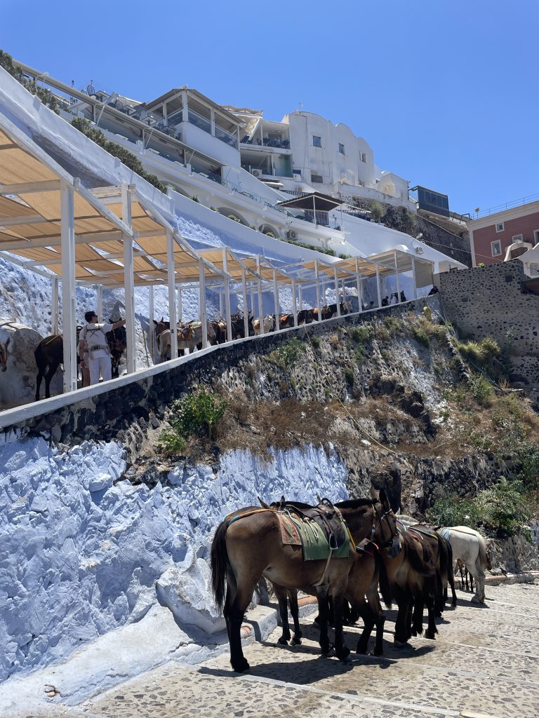 Santorini ja trepid ja sajad eeslid