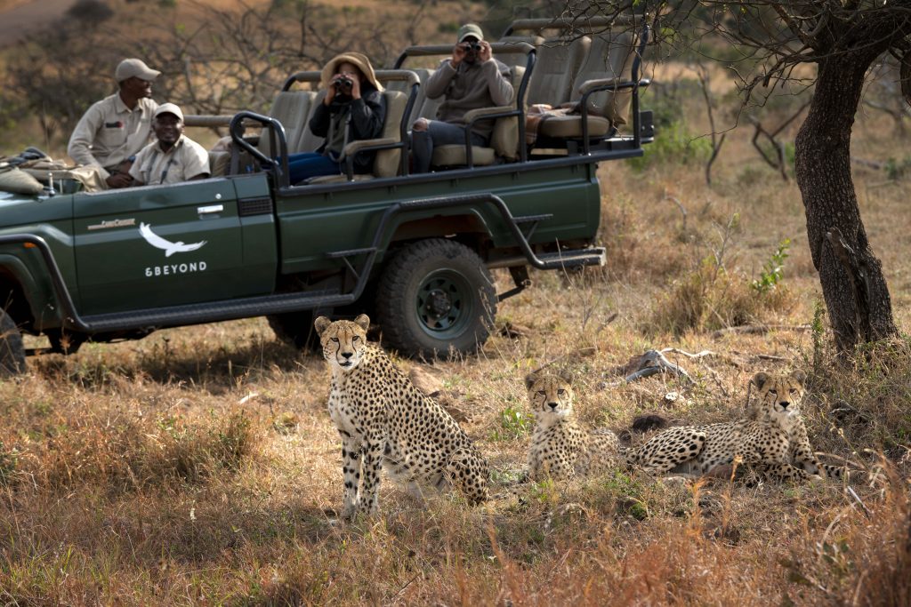 andBeyond, Lõuna-Aafrika safari